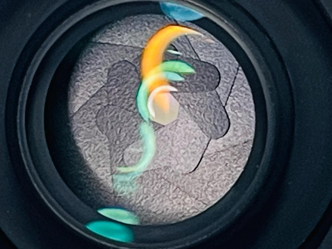 【動作保証・点検済】Nikon Ai AF Nikkor 20mm F2.8D