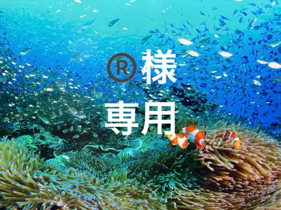 エンビロンデリケートセットを2つ