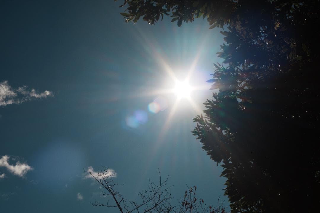 極上の空気感 CONTAX Planar 50mm F1.4 MMJ 949