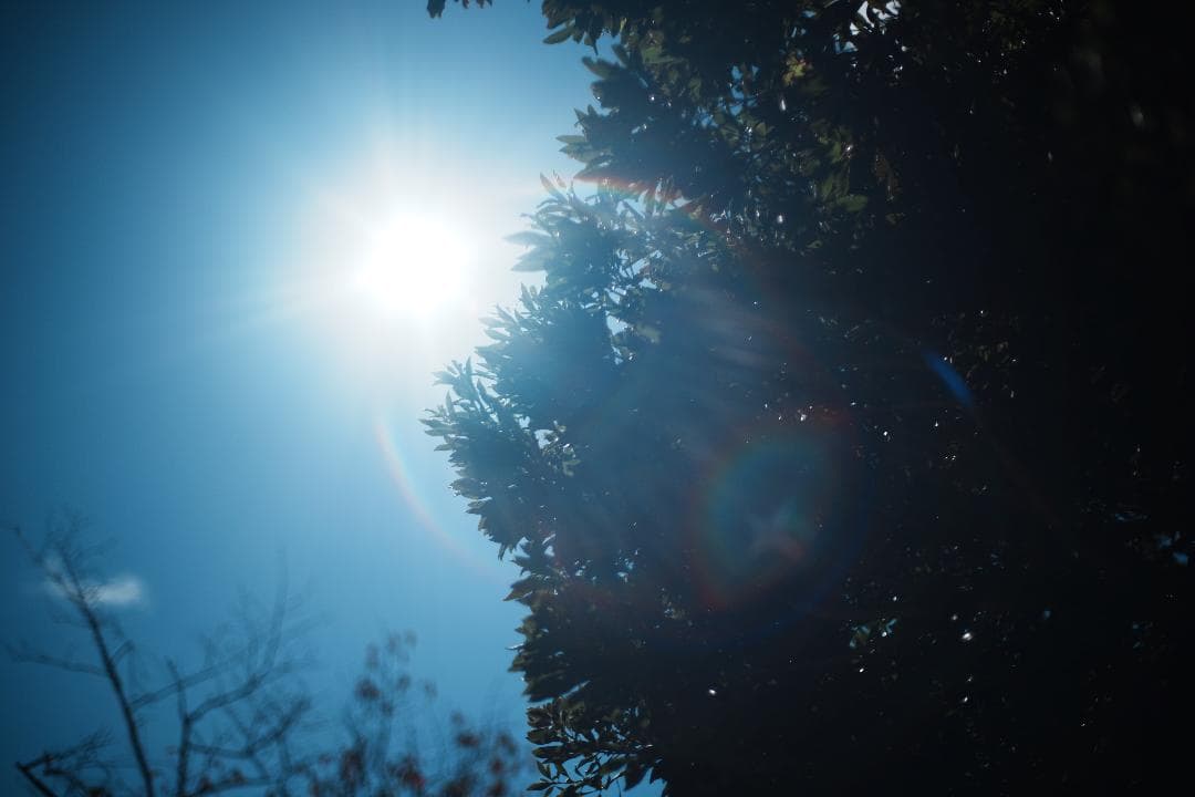 極上の空気感 CONTAX Planar 50mm F1.4 MMJ 949