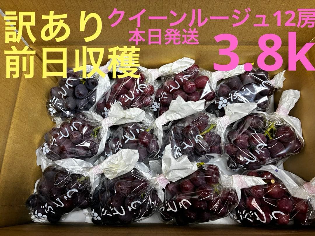 訳あり※前日収穫クイーンルージュ12房※小房あり（約3.8k）本日発送
