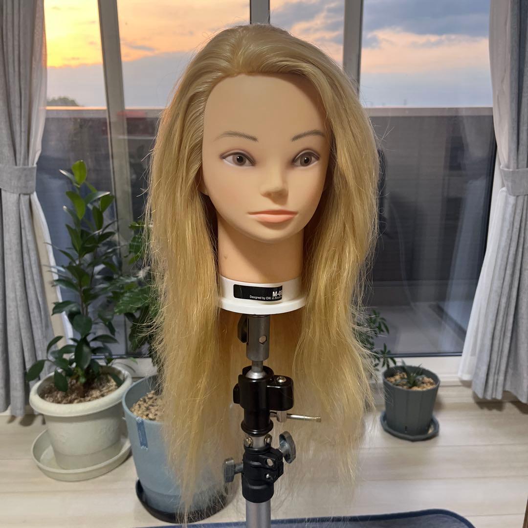 アップ練習ウィッグ　ヘアセット用ウィッグ(カットも可) 美容師必見