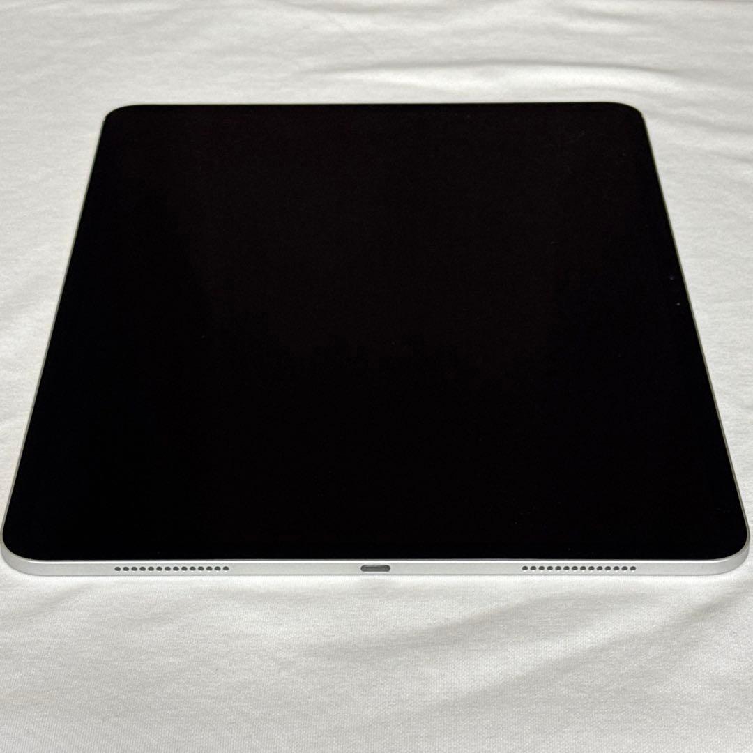 iPad Pro M4 13インチ wifi 256GB シルバー