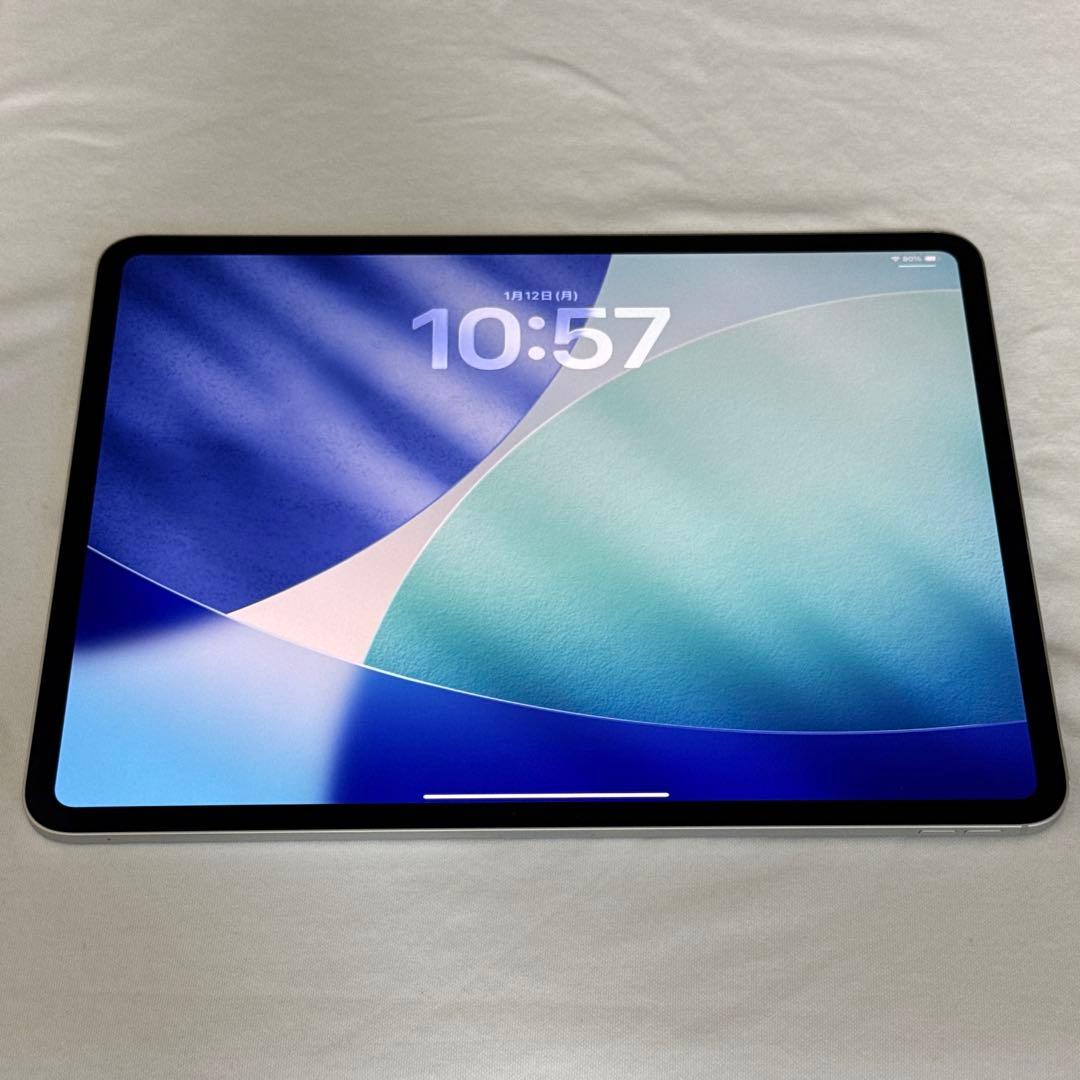 iPad Pro M4 13インチ wifi 256GB シルバー
