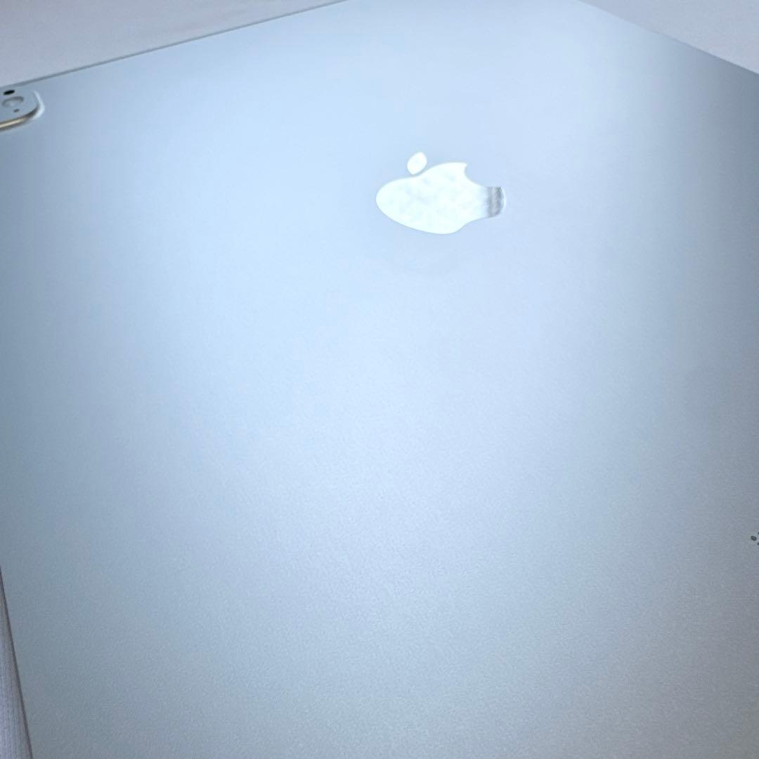 iPad Pro M4 13インチ wifi 256GB シルバー