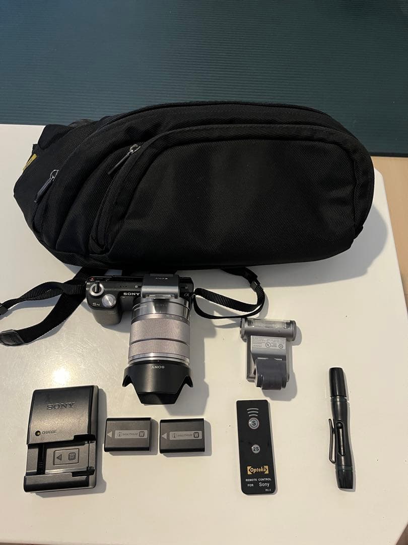 ピンクの猫　SONY NEX-5N 18-55mmレンズバッグフラッシュ