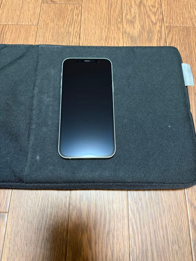 Apple iPhone 12本体 ミントグリーン