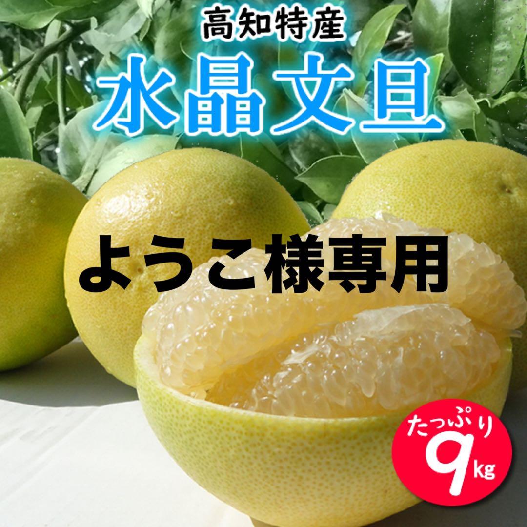 ようこ　ご家庭用　高知特産　水晶文旦　サイズおまかせ　約9㎏