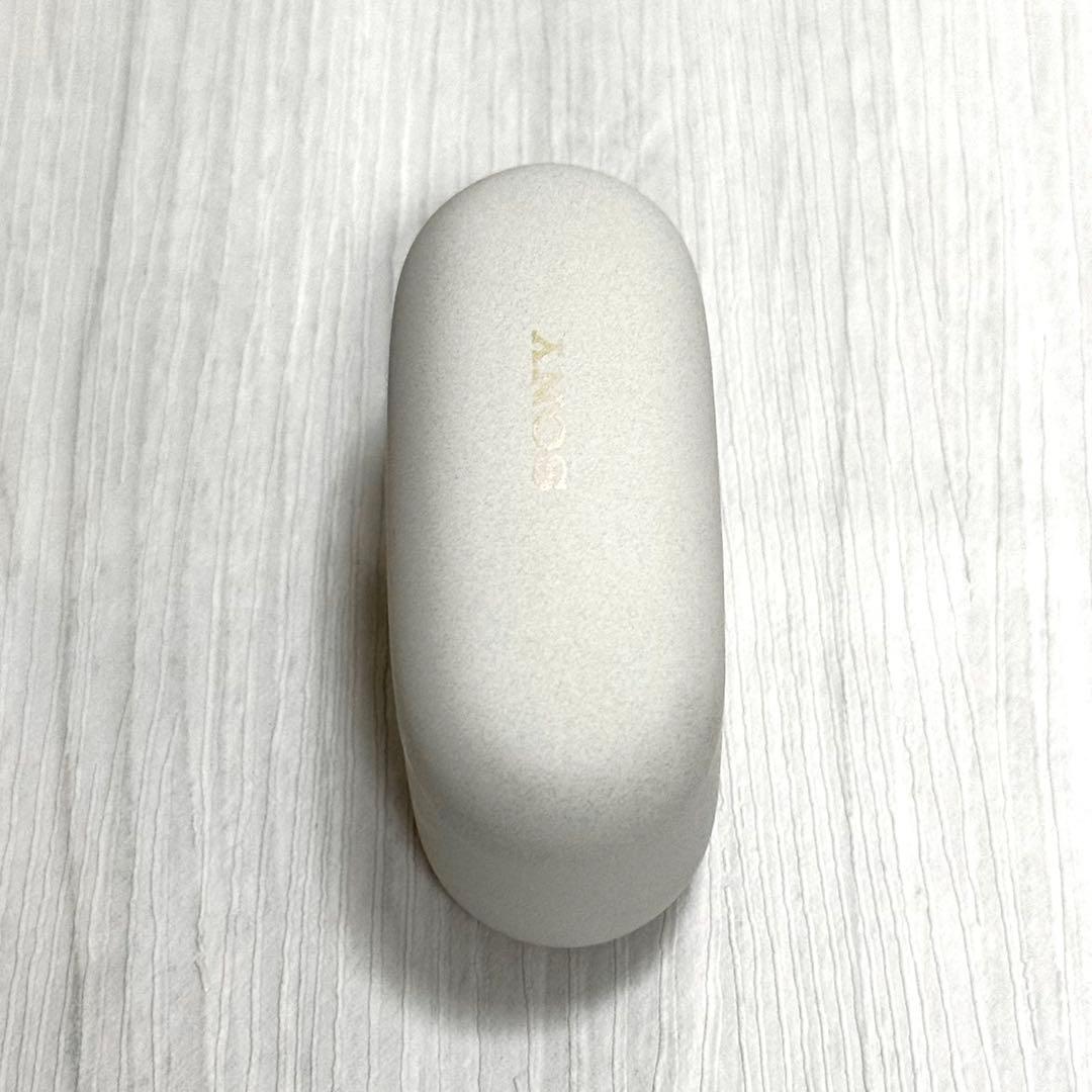 ソニー純正 WF-1000XM5 プラチナシルバー 充電ケースのみ