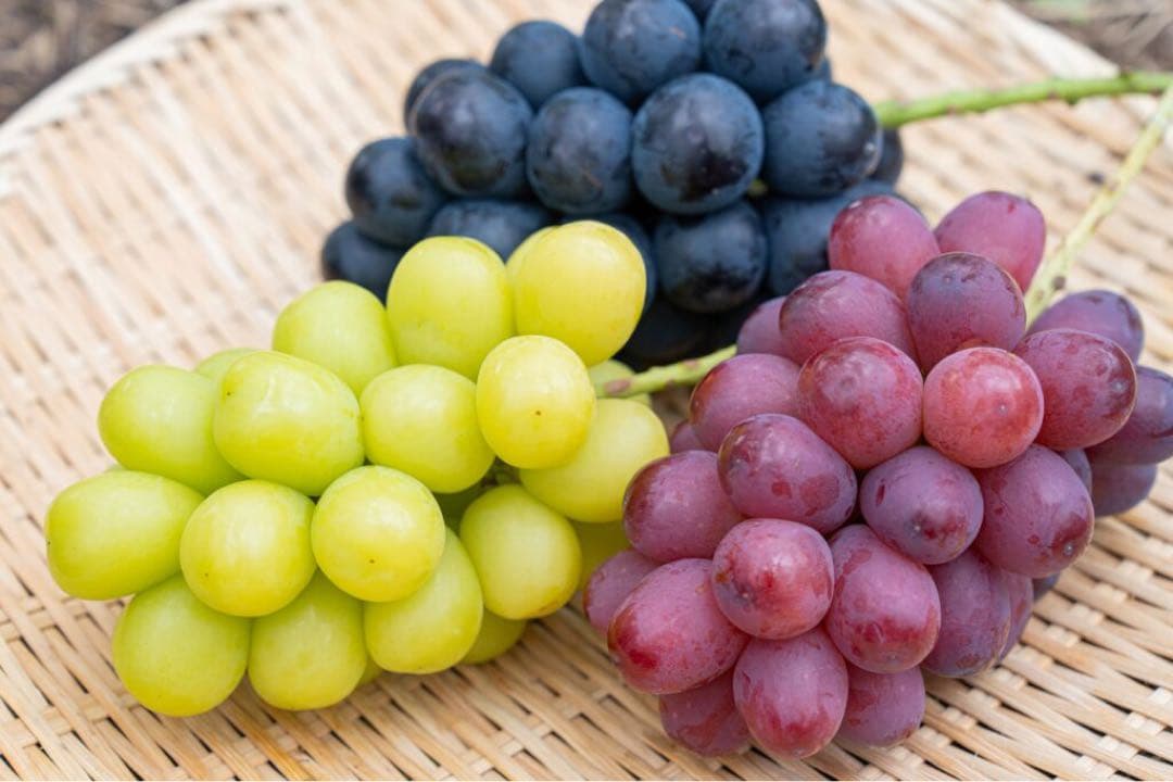 3種類のブドウ盛り合わせ