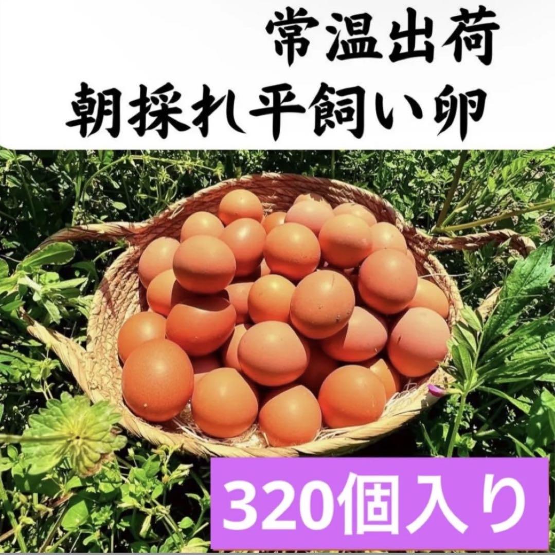 平飼い鶏卵 320個入り