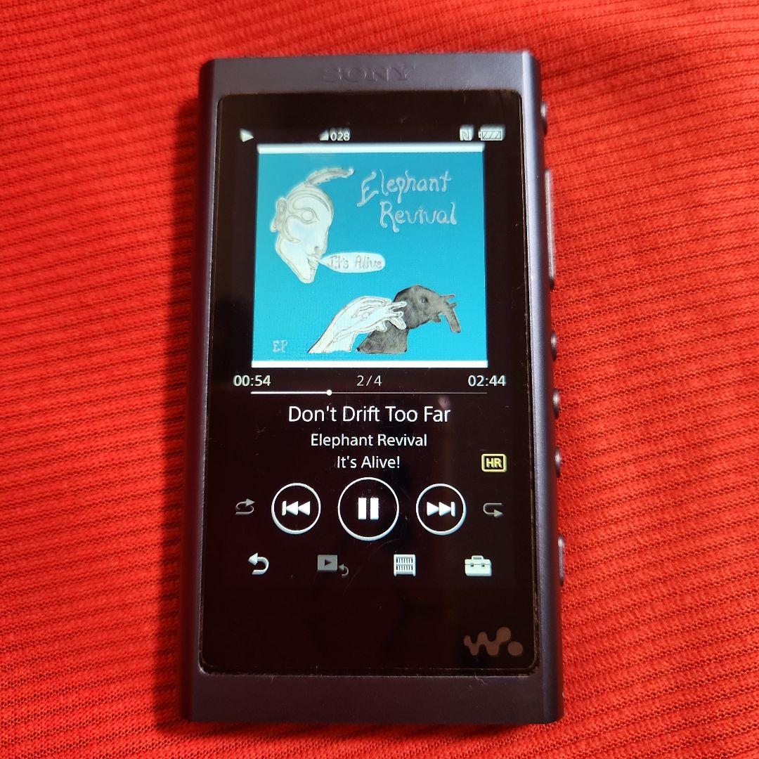 SONY ウォークマン　NW-A55LM ジャンク品