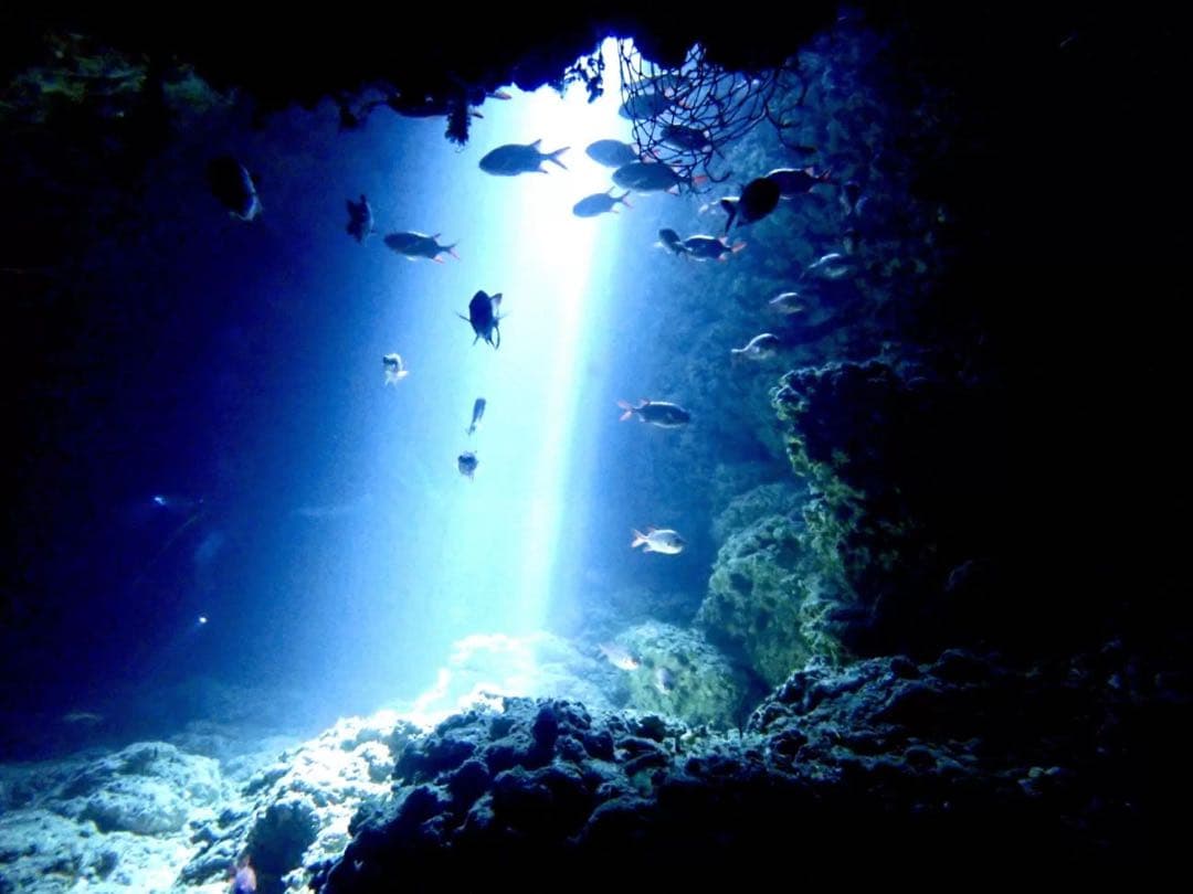 THE HUNGER様限定　karimoku3人掛けソファ