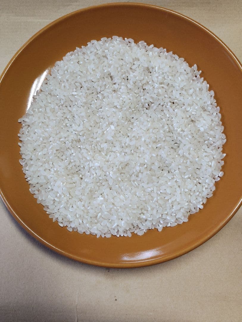 令和6年産　彩のかがやき　白米10キロ