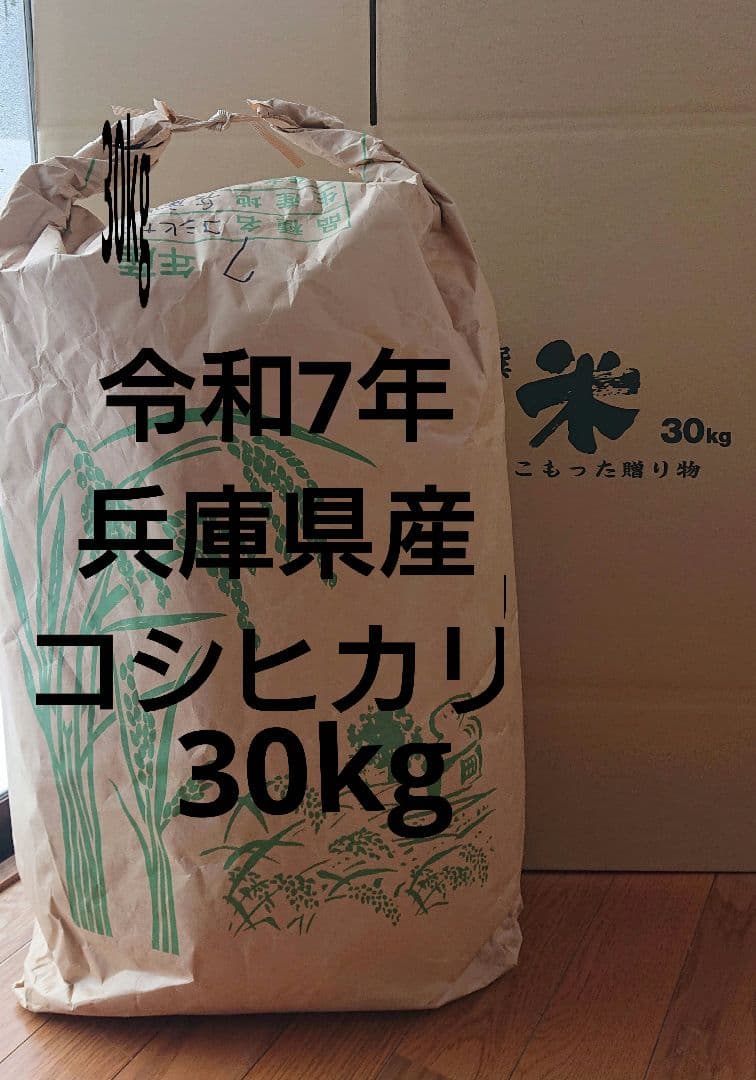 令和7年 兵庫県産 コシヒカリ 玄米30キロ