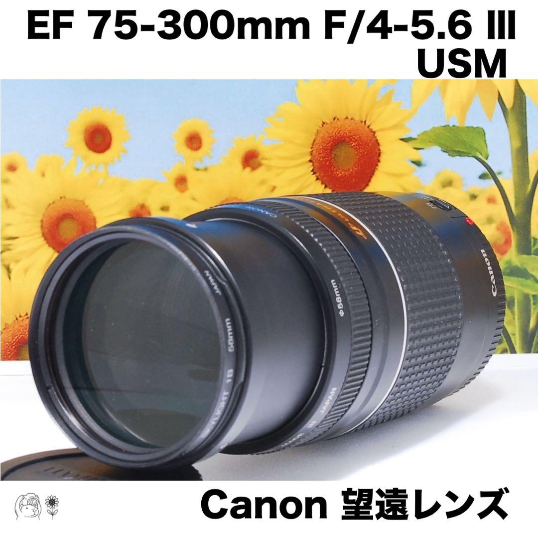 Canon EF 75-300mm F/4-5.6 Ⅲ USM⭐️超望遠レンズ