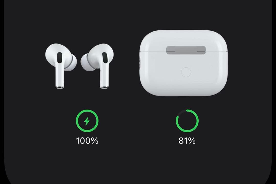 【美品】Apple AirPods Pro 第2世代 (USB-C)