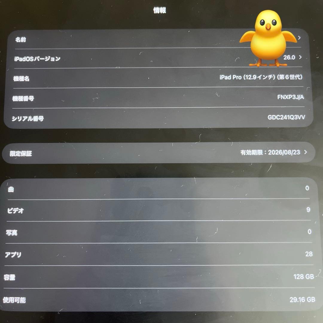 iPad Pro 12.9インチ第6世代128GB 買ってよー