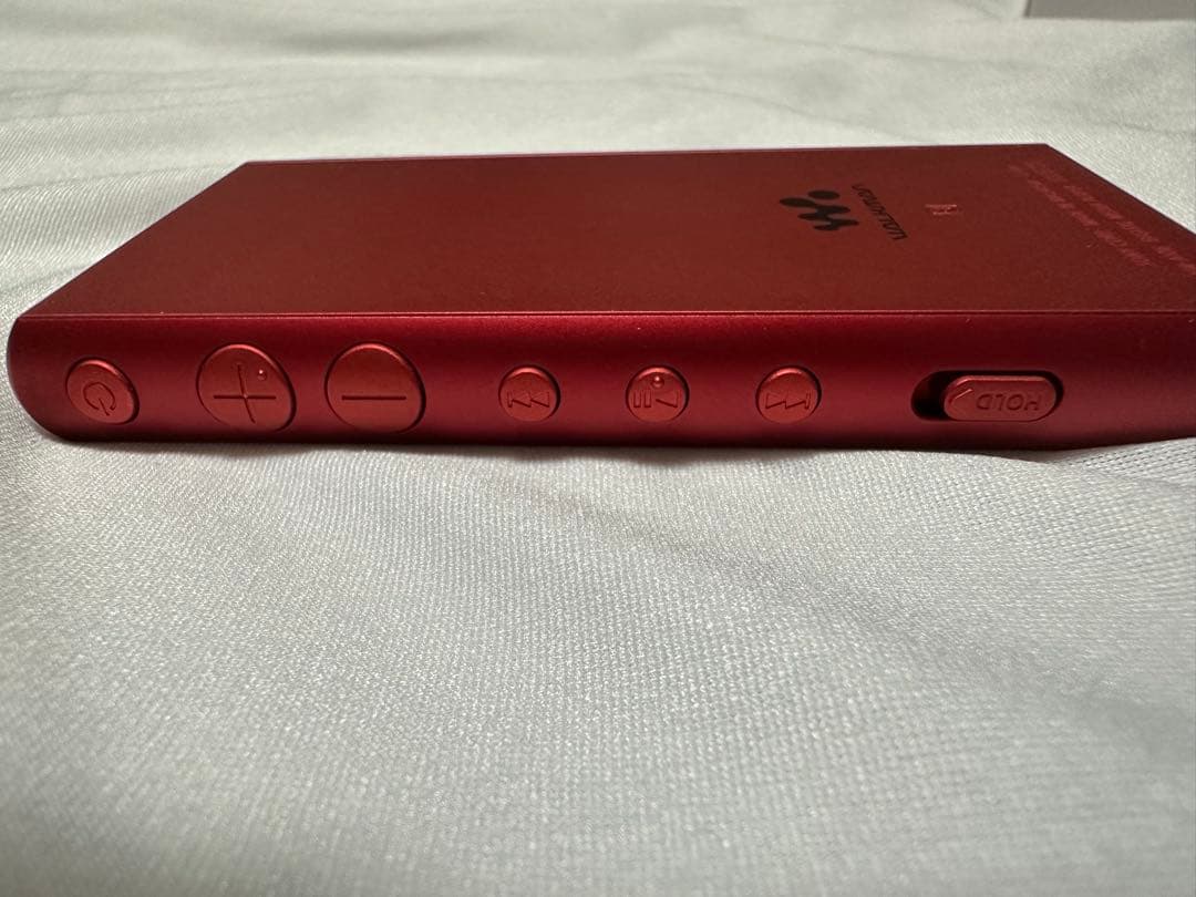 SONY ウォークマン(WALKMAN)NW-A106 ケース付