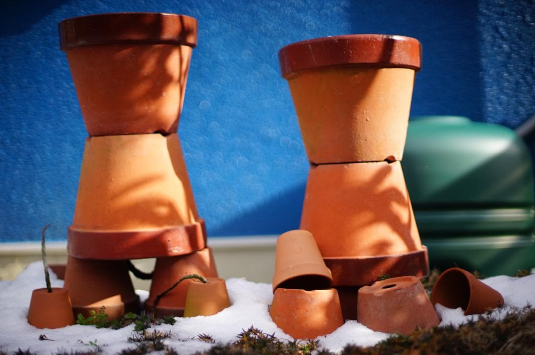 フィルムカメラ Nikon FE2 / Ai NIKKOR 50mm f1.4