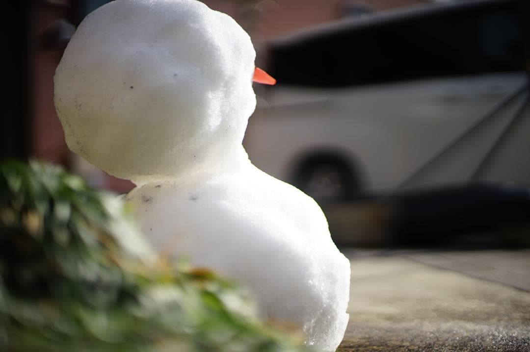 フィルムカメラ Nikon FE2 / Ai NIKKOR 50mm f1.4