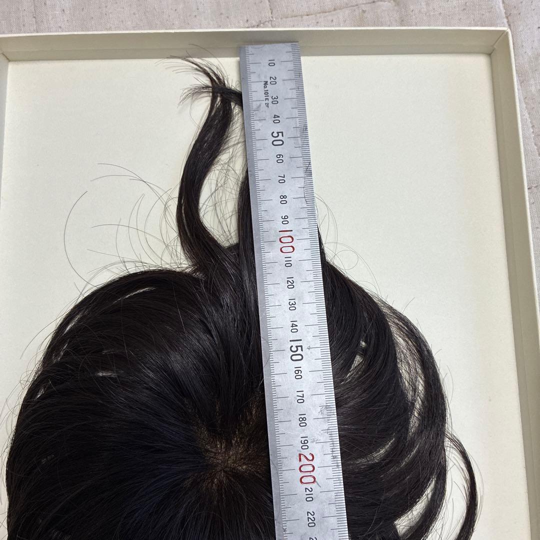 フォンテーヌ　ウィッグ