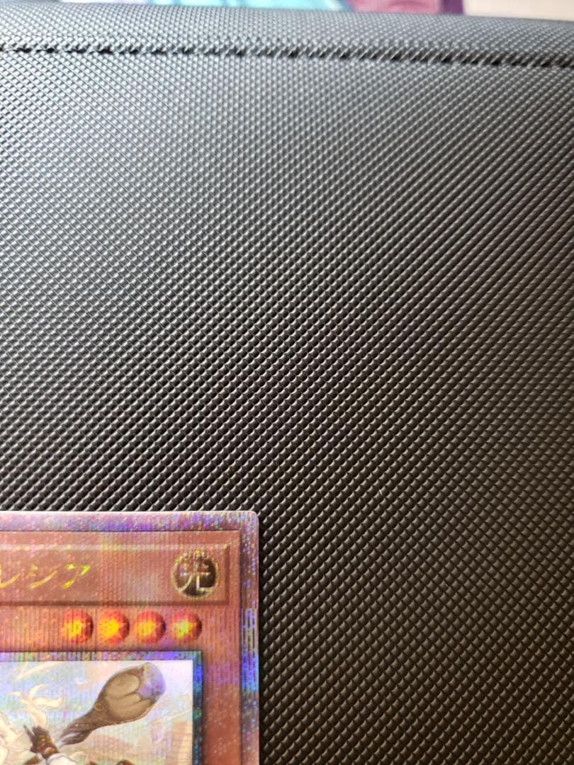 白の聖女エクレシア　絵違い　クオシク