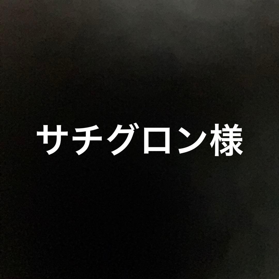 サチグロン様　キングダム　60-73、75-76