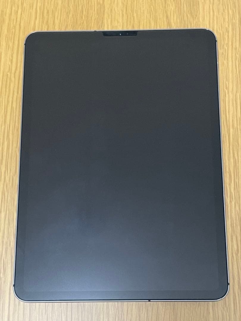 iPad Pro 11インチ 第1世代 256gb