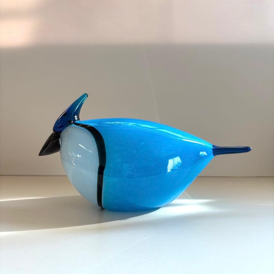 Canadian Blue Jay イッタラバード Oiva Toikka