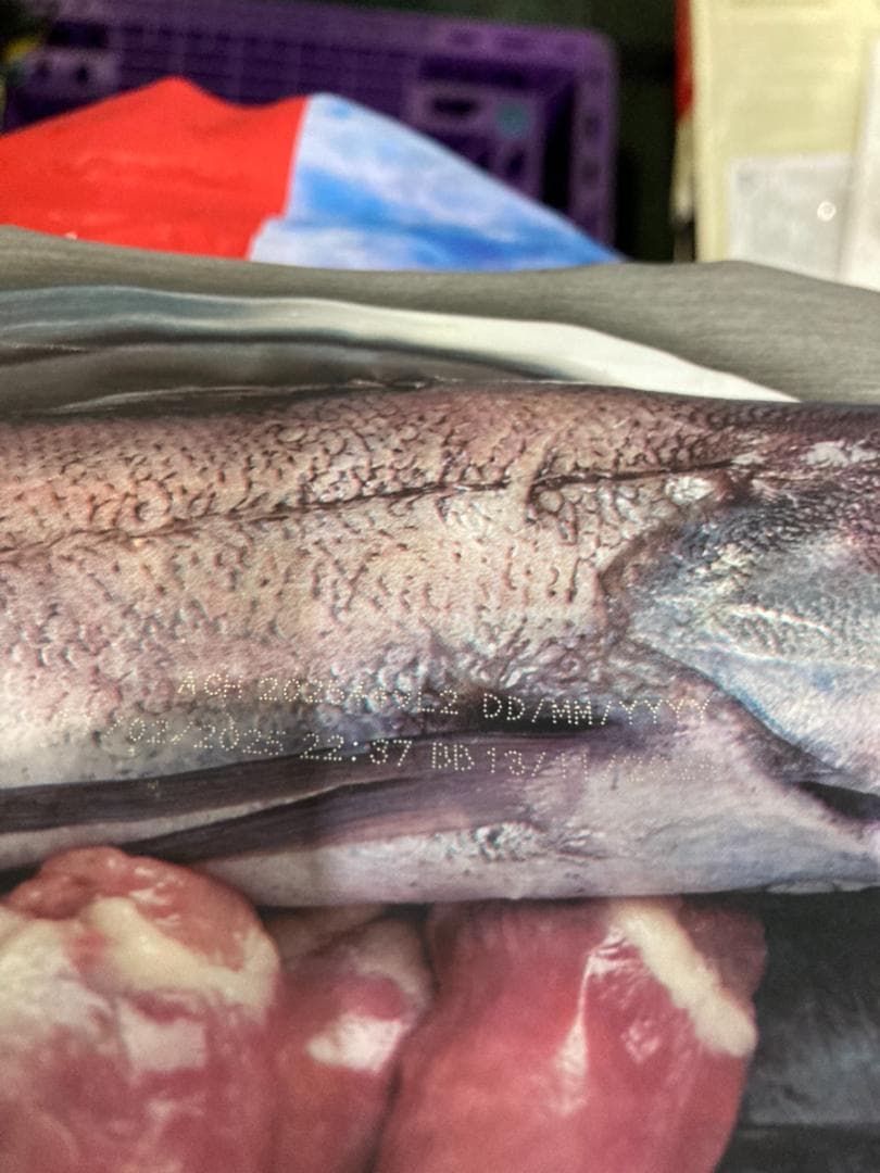 正規品 カナダ産 Orijin オリジン パピーラージ 11.4kg まとめ可