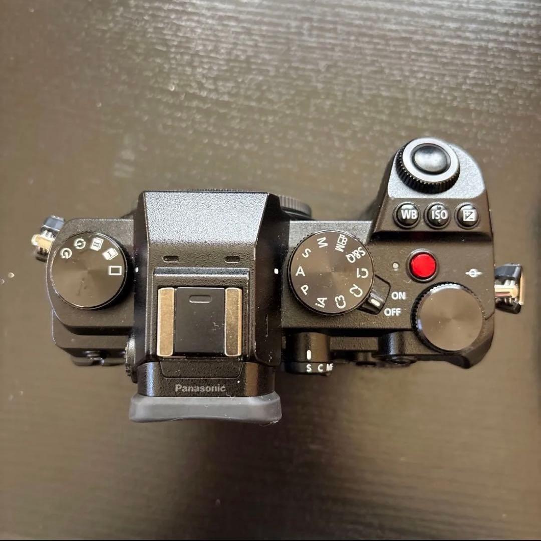 LUMIX S5 ミラーレス一眼カメラ 20-50mmレンズ付き