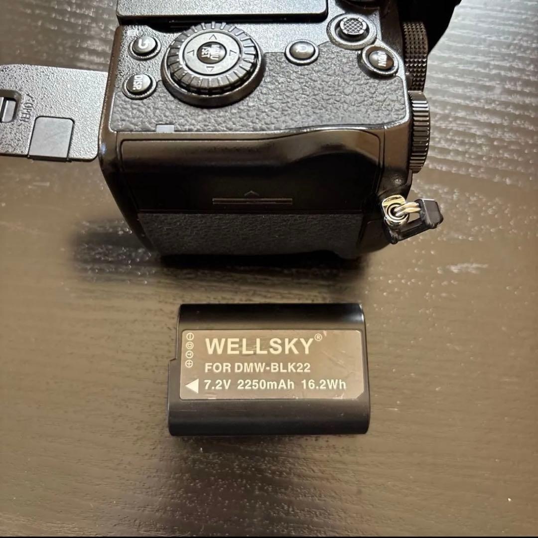 LUMIX S5 ミラーレス一眼カメラ 20-50mmレンズ付き