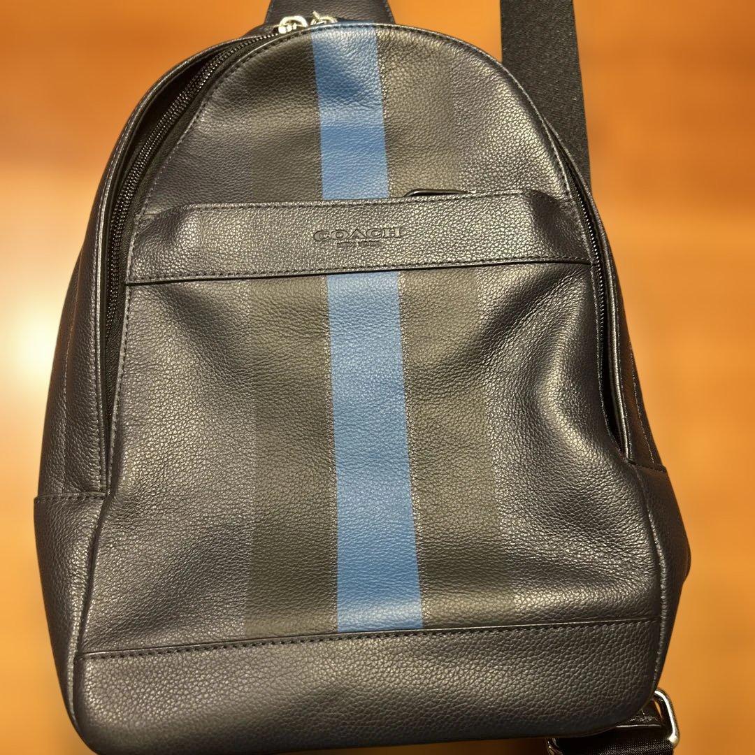 COACH レザー ショルダーバッグ ブラック/ブルー