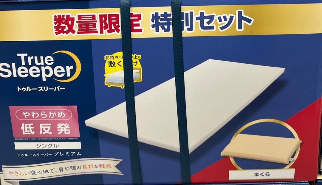 【新品2点＋カバー付】トゥルースリーパー エア 厚さ5cm 低反発万能まくら
