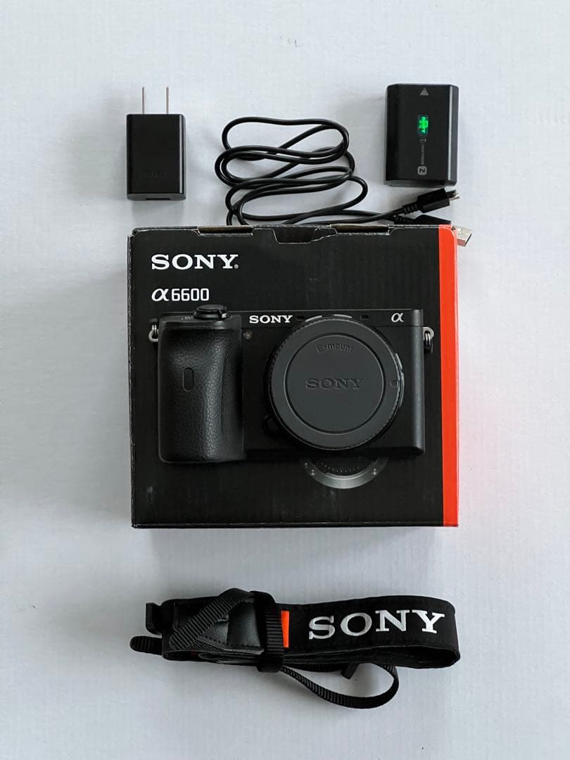 SONY α6600 ボディ (ILCE-6600) 高性能ミラーレス