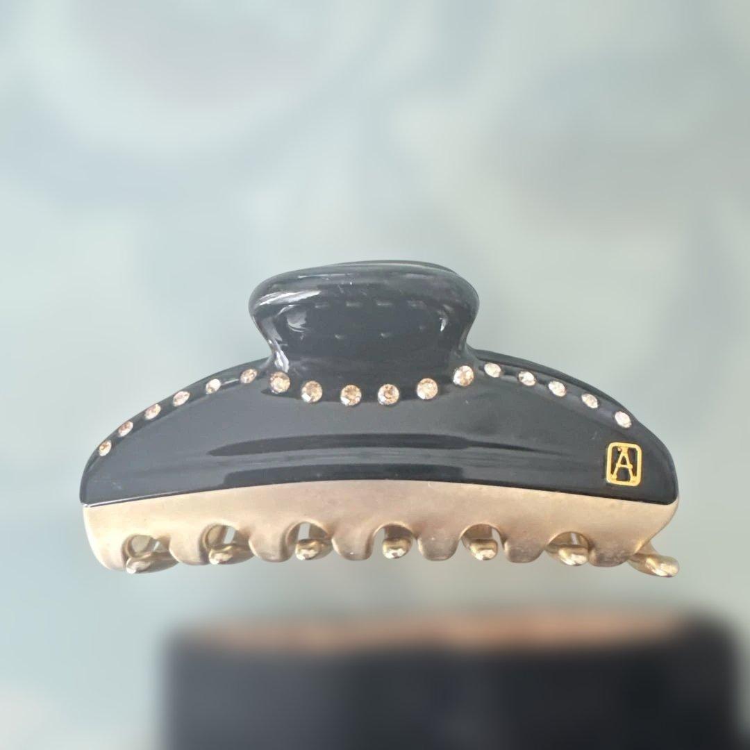 美品ALEXANDRE DE PARIS ヘアクリップ 黒