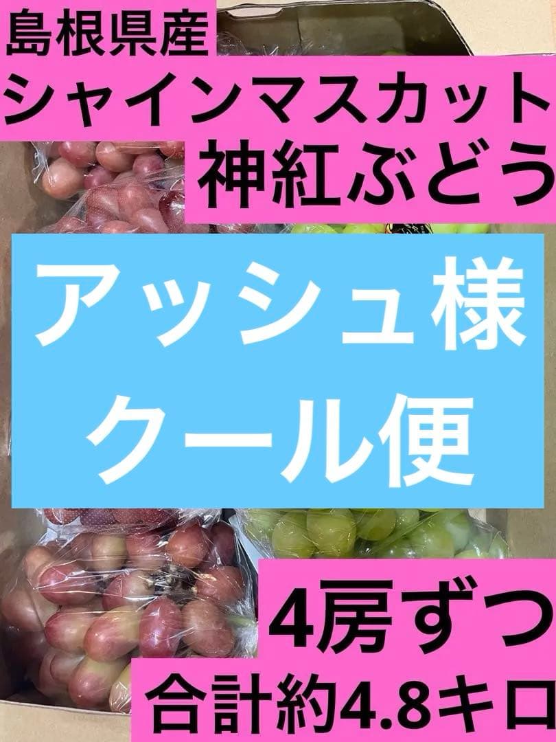 ① 【島根県産】 シャインマスカット4房 神紅(しんく)ぶどう4房