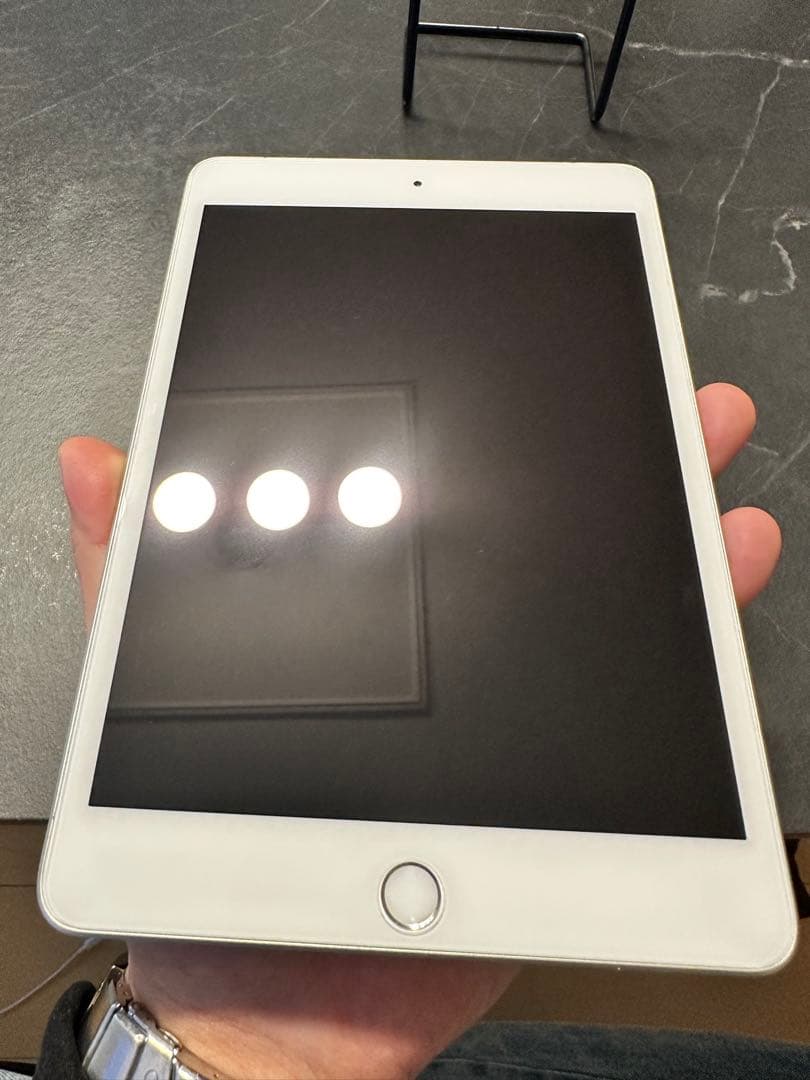 【完動品】iPad mini5 64GB SIMフリー【美品】