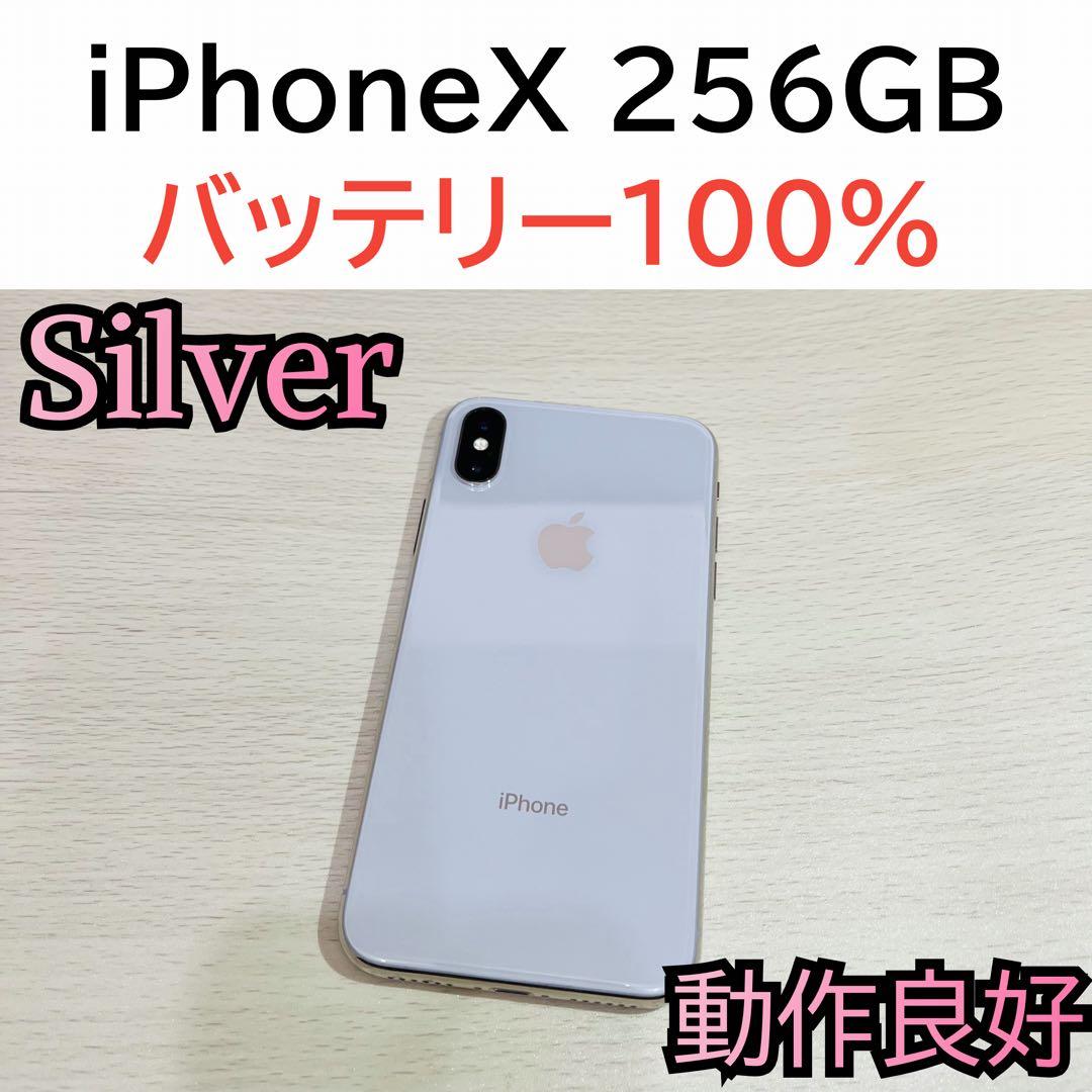 【豪華おまけ付き】iPhoneX 256GB シルバー　SIMフリー