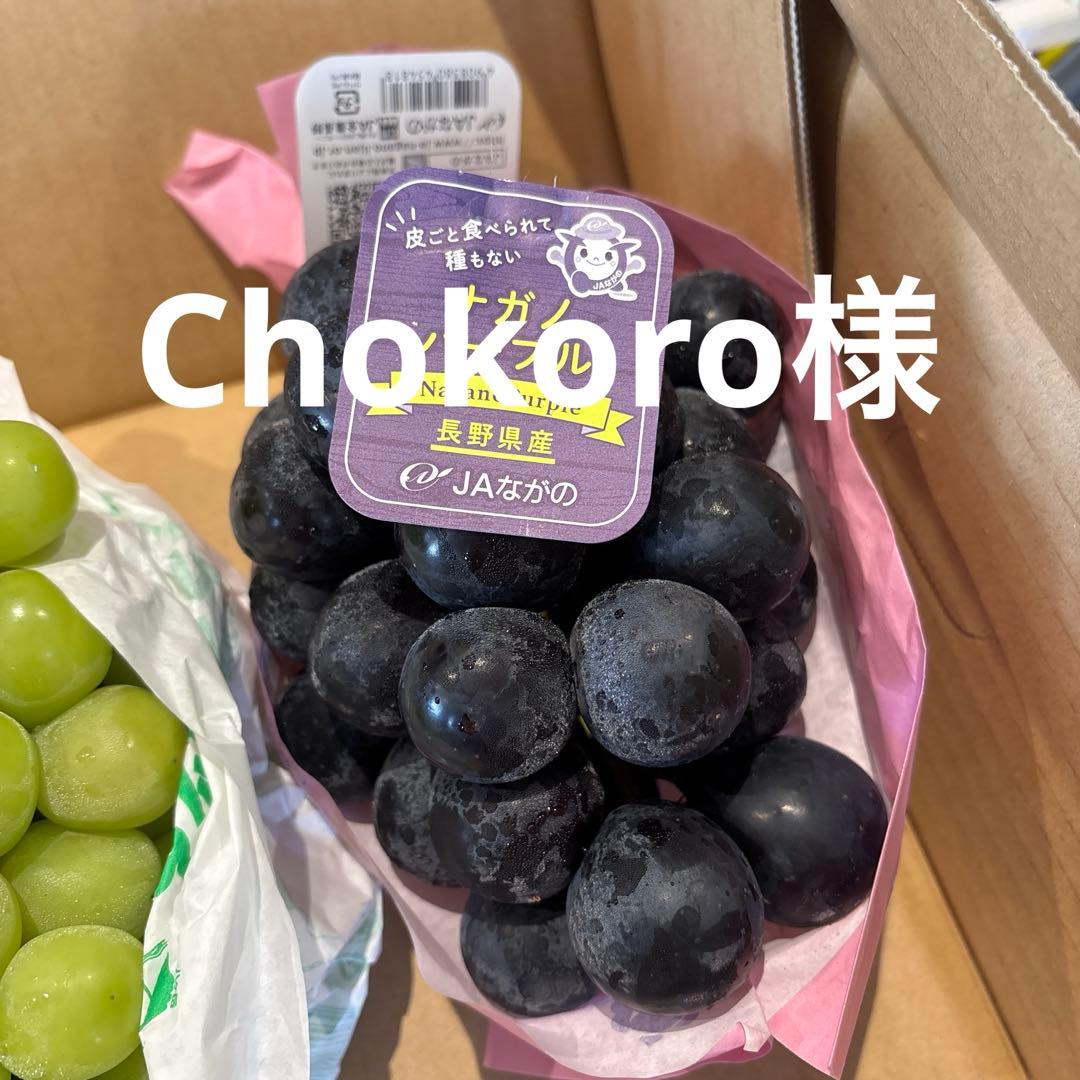 Chokoro様 長野パープル2