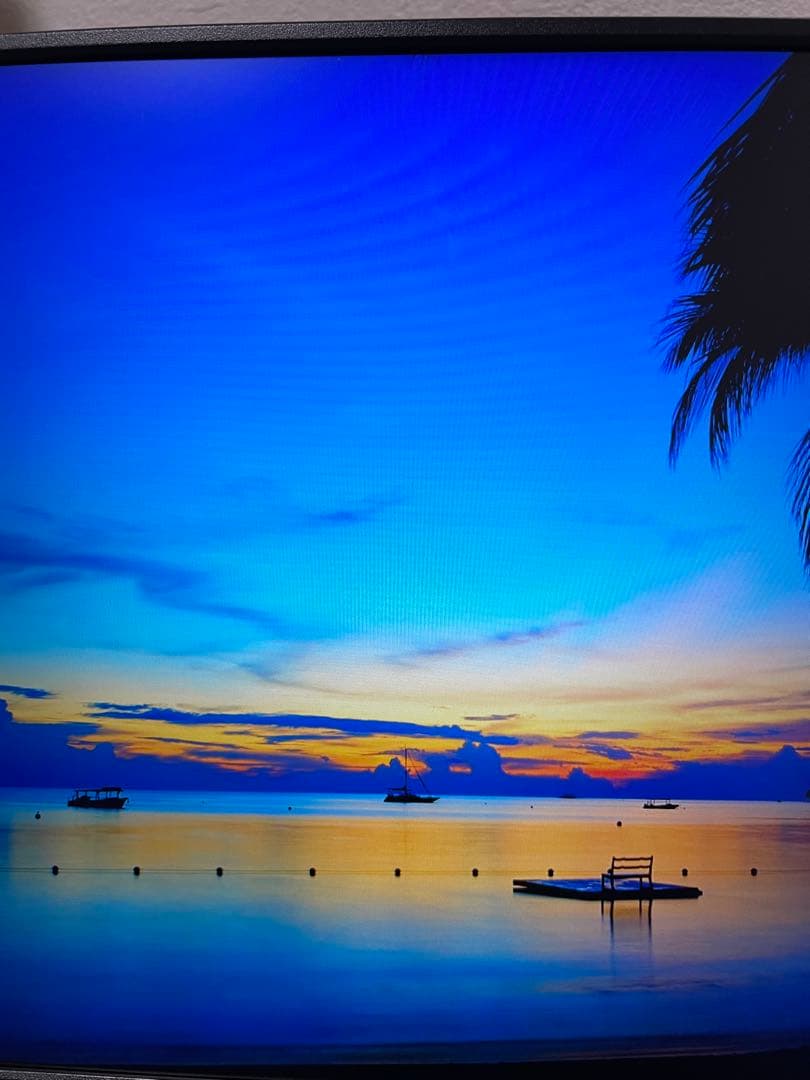 I・Oデータ　15.6型モバイルディスプレイ EX-LDC161DBM