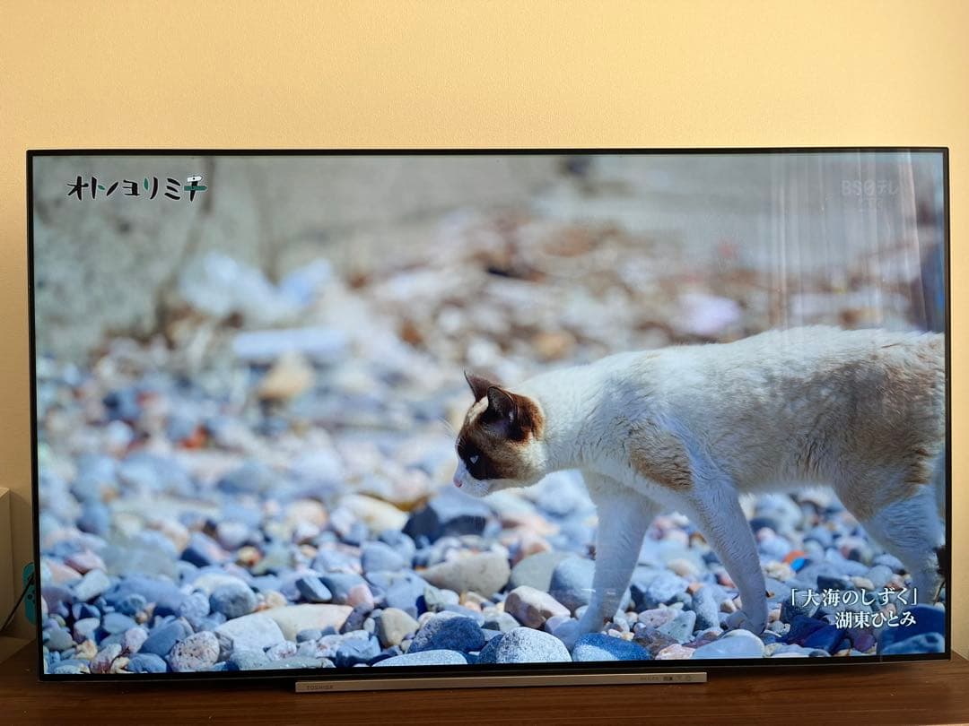 TOSHIBA REGZA 55X930 有機ELテレビ 55インチ