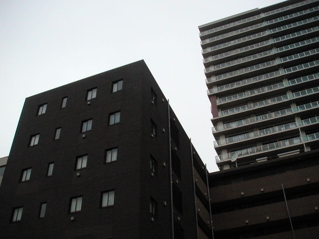 【動作確認済み】Minolta DiMAGE X フルセット