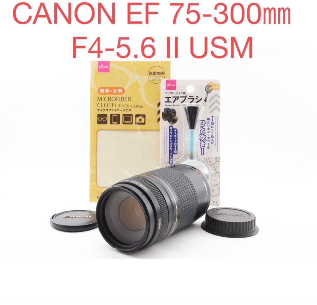 遠くも撮れる/望遠レンズ/CANON EF 75-300㎜F4-5.6 II