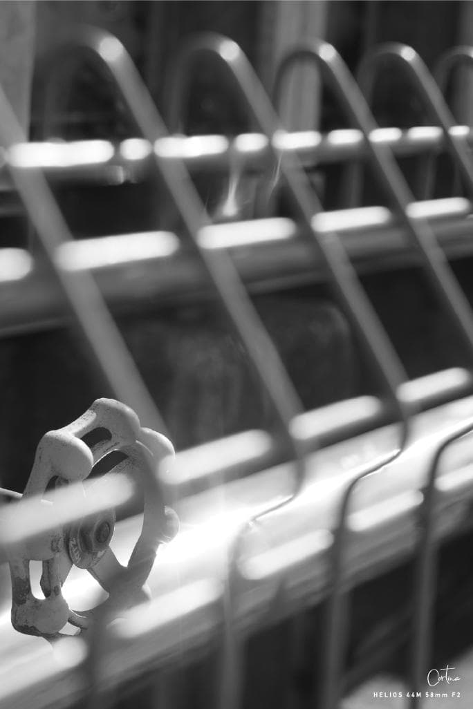 HELIOS ヘリオス 44M 58mm F2 M42マウント ぐるぐるボケ