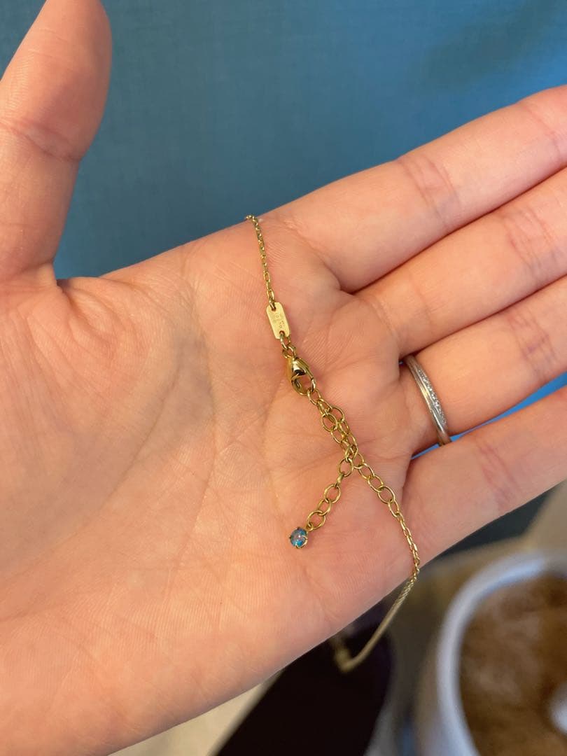 GUCCI ゴールド　ネックレス(付属品あり)