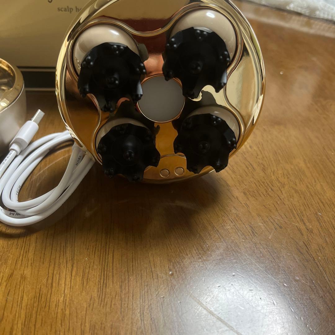 正規品フエタリッチ　スカルプヘッドスパ