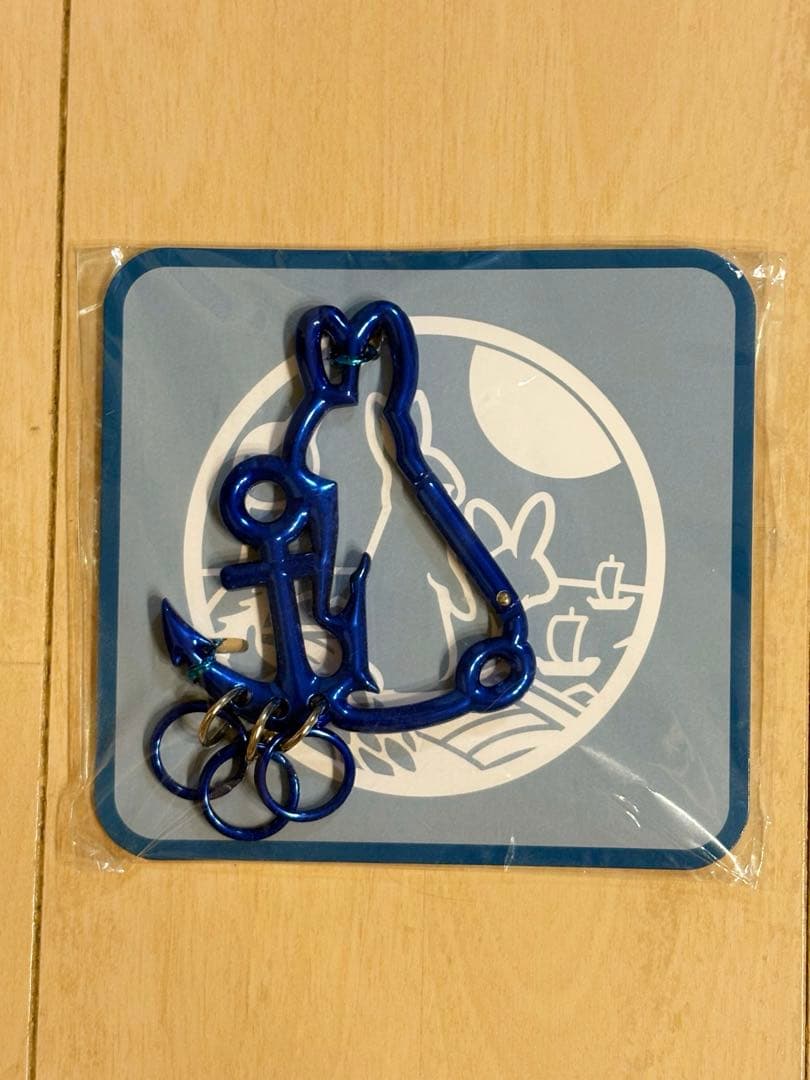 FR2港　カラビナ