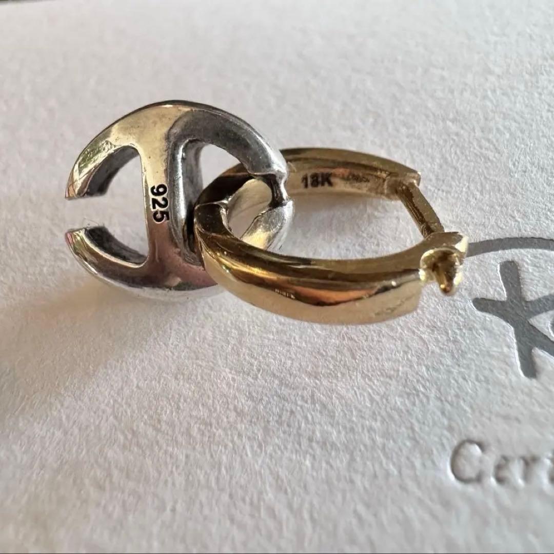 のらねこてす！ご注意ください。HOORSENBUHS ピアス